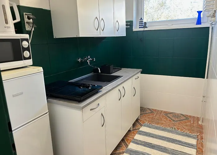 Samba Life * Warszawa